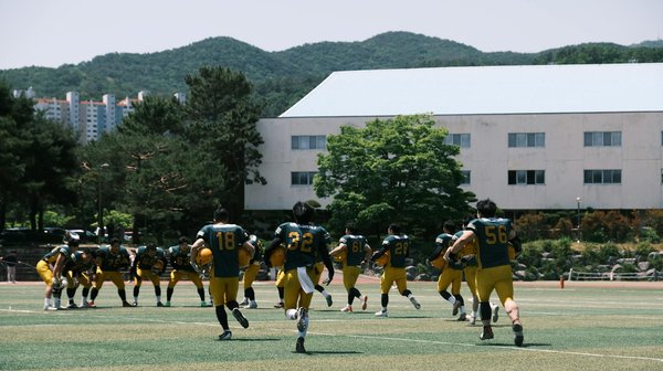 Enhancing digital security: the revolutionary potential of voice biometrics in protecting transactions